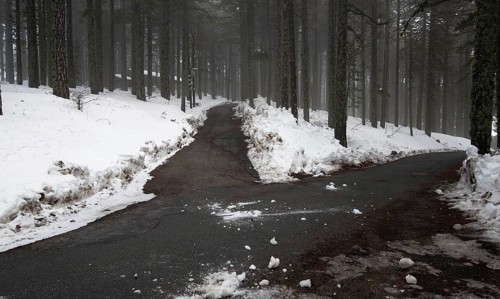 Winter forest landscape with mountain covered in snow and empty frozen road. Troodos mountains in