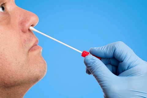 Doctor performs a nasal swab test with a cotton swab