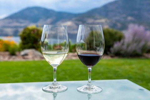 Pair of wine glasses filled with red and white wines, selective focus and close up view against
