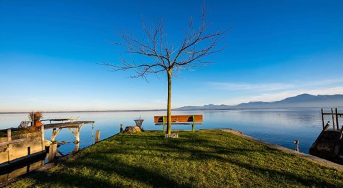 A bench on the shore of Lake Chiemsee with a sign