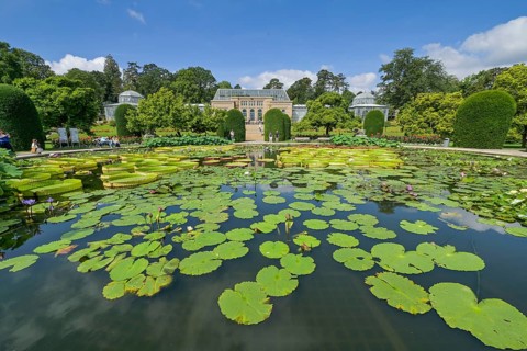 Water lily pond, behind the Moorish country house with greenhouses, Wilhelma, Zoological-Botanical