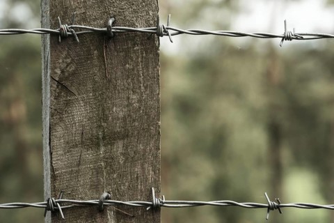 Barbed wire on a wooden post