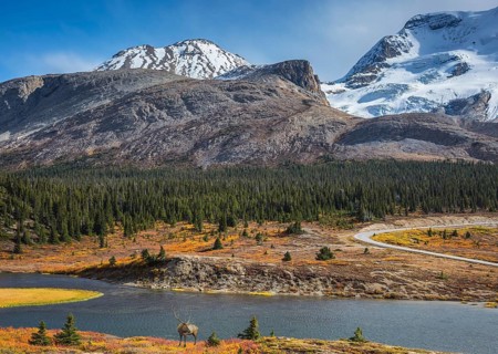 The magnificent Rocky Mountains in Canada. Lake from the melting of huge glaciers. Beautiful deer