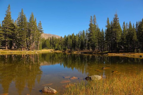 A quiet lake, surrounded by woods, in the mountains of Yosemite Park. Early autumn morning