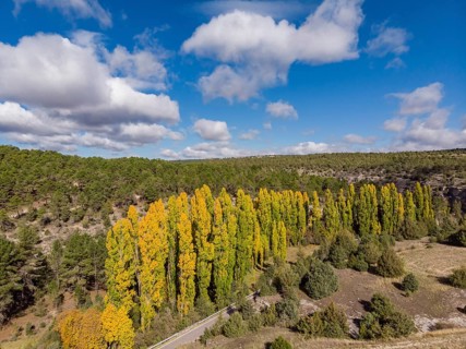 Las Hoces del Río Duratón Natural Park, Segovia province, Spain, Europe