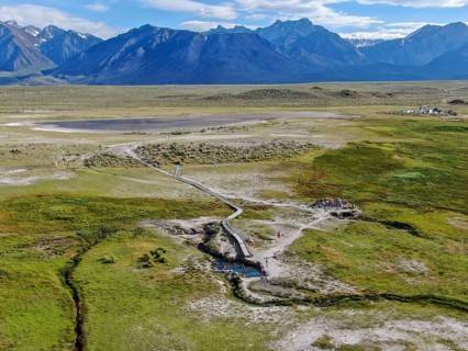Aerial view of herd of cows in green meadow with mountain on the background. Cows cattle grazing on