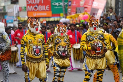 Pulikali Tiger Dance procession, Onam festival, Thrissur, Kerala, India, Asia