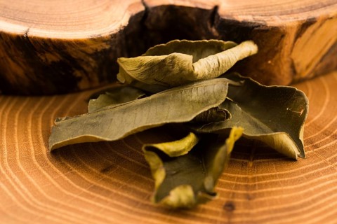 Cassia leaves