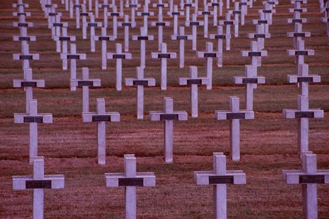 France: Soldier cementary with thousand of crosses