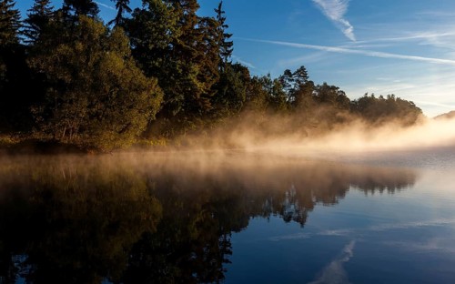Lake with morning fog Light mood