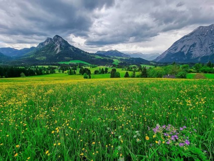 Summer austrian landscape with green meadows and impressive mountains, view from small alpine