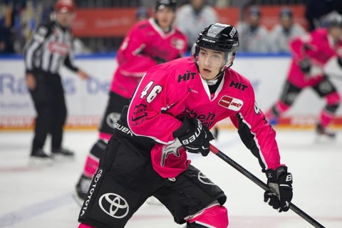 LanxessArena, Cologne, North Rhine-Westphalia, Kevin Niedenz (Cologne Sharks, #46), PENNY DEL,
