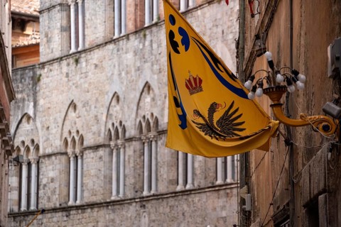 Contrade flags of the Aquila-Eagle district hanging in a street of downtown Siena, Italy, Europe