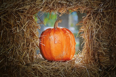 Pumpkins in a Hay Window Varna, Bulgaria, Europe