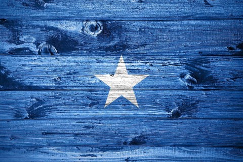 Somalia flag on wooden planks background wood flag