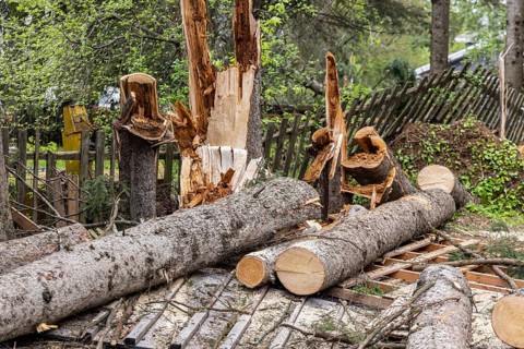Devastation in a small village after a powerful storm with hurricane strength winds bring down