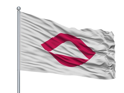 Ninohe City Flag On Flagpole, Country Japan, Iwate Prefecture, Isolated On White Background