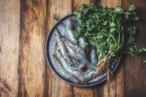Food, Food, Raw seafood. Fresh shrimps with cilantro gray plate. Wooden backround