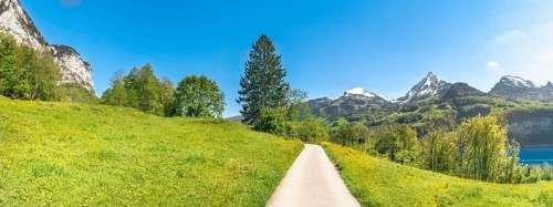 Alpine alley crossing green meadows, in the Alps mountains, on a sunny day of spring, in the canton