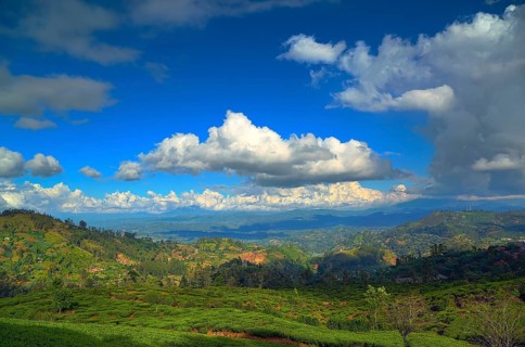 Beautiful mountain landscape with tea plantation in Sri Lanka