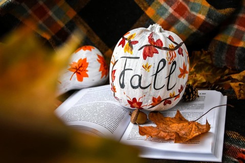 Beautiful painted autumn pumpkins. FALL writing on pumpkin. Autumn harvest. DIY. Autumn leaves