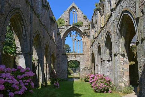 Abbay de Beauport, Innereder church, ruin, Hortensja