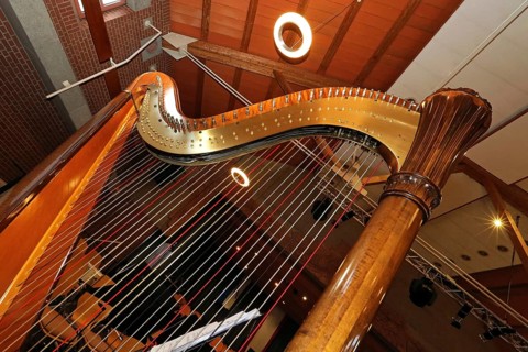 Harp