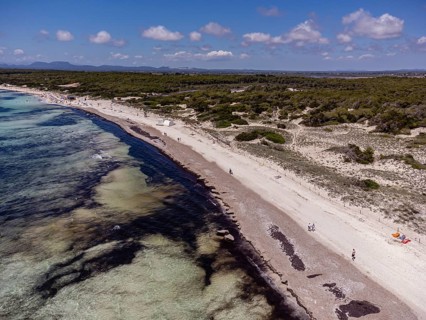 Es Trenc beach, Campos municipality, Mallorca, Balearic Islands, Spain, Europe