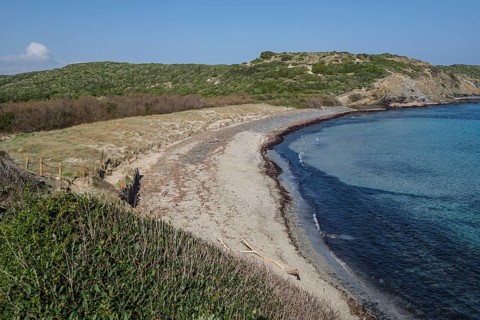 Tortuga beach, s'Albufera des Grau Natural Park, Menorca, Balearic Islands, Spain, Europe
