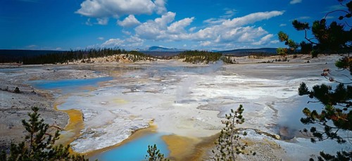 Yellowstone National Park, Norris Geyser Basin, Wyoming, USA, North America