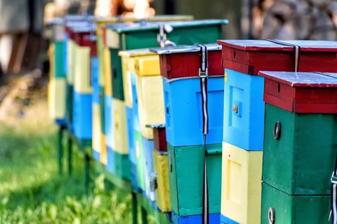 Beehives