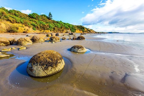 The South Island of New Zealand. Sandy beach on the Pacific Ocean. Moeraki boulders is a group of
