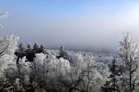 View from the summit ridge of the Mörschieder Burr in the Hunsrück-Hochwald National Park with