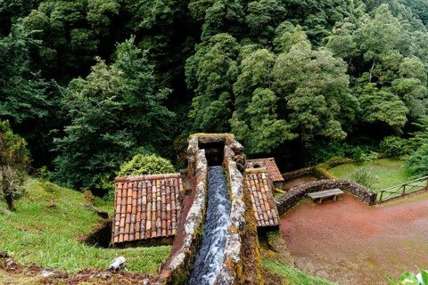 Parque Natural da Ribeira dos Caldeiroes in Sao Miguel Island, Azores, Portugal, Europe