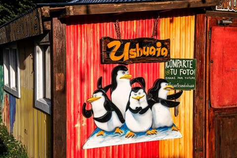 Photo background with penguins, Ushuaia, Argentina, South America