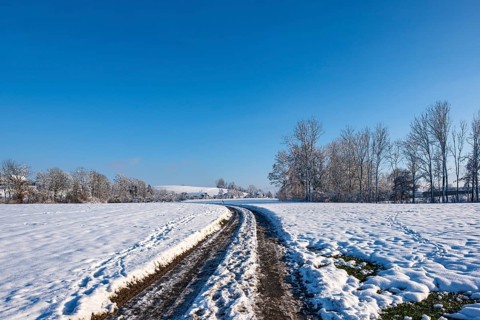 Snow-covered path through a quiet winter landscape under a clear sky, Sempach, Lucerne,