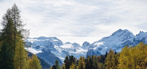 Amazing landscape in the Swiss Bernina mountains. A colourful autumnal forest in front of the