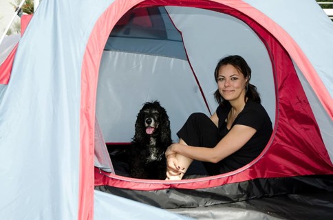 Woman Sitting Inside a Camping Tent with Her Cocker Spaniel Dog in a Sunny Summer Day in