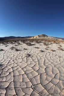 Dawn in Death Valley. Dry brush on white cracked soil. Rhotograph Fisheye lens