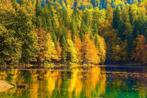 Flood after rain. The quiet lake Lago de Fusine. Fantastically beautiful autumn forests are