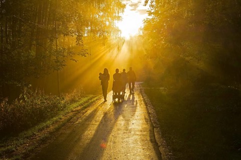 The sun's rays break through the fog. Early evening