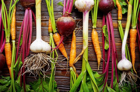 Vegetarian background of fresh organic beetroots green garlic and carrots on kitchen wooden rustic