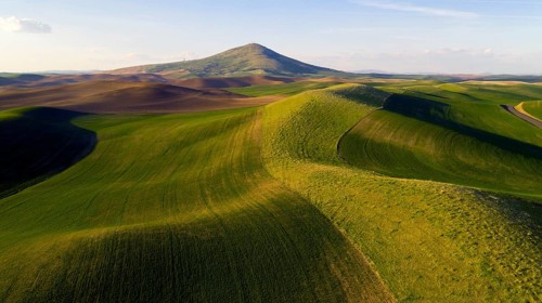Steptoe Butte State Park is up there somewhere on top of the bluff surrounded by Palouse Country