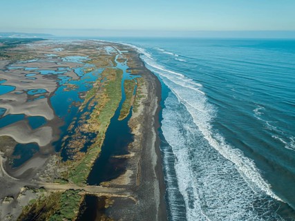 Whetland nea ocean in seventh region Maule in Chile