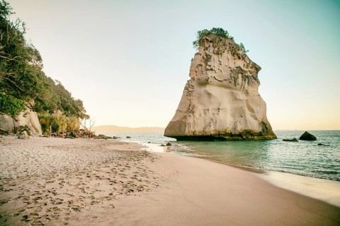 Amazing Te Hoho Rock at sunset, Cathedral Cove Marine Reserve, Coromandel Peninsula, New Zealand,