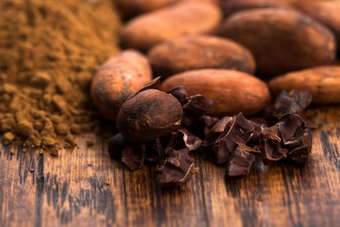 Cacao beans and cacao powder in spoon
