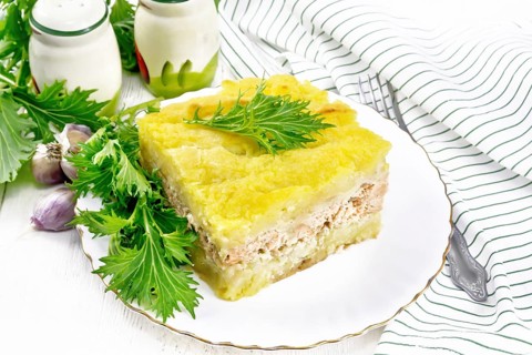 Mashed potato casserole with salmon fillet and lettuce in a plate, kitchen towel, garlic on a