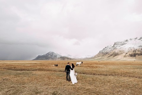 Wedding couple in after with horses. The groom hugs the bride. Destination Iceland wedding photo