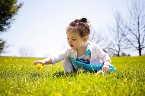 Pretty little girl playing in the grass during summer, Toronto, Canada, North America