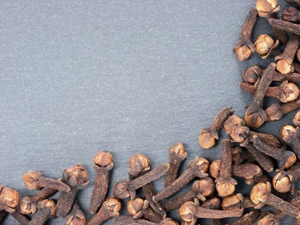 Cloves spice on gray slate background with copy space. Isolated one edge. Top view or flat lay